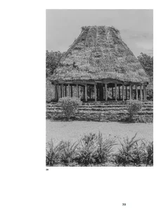 the_fale_1 (3)
