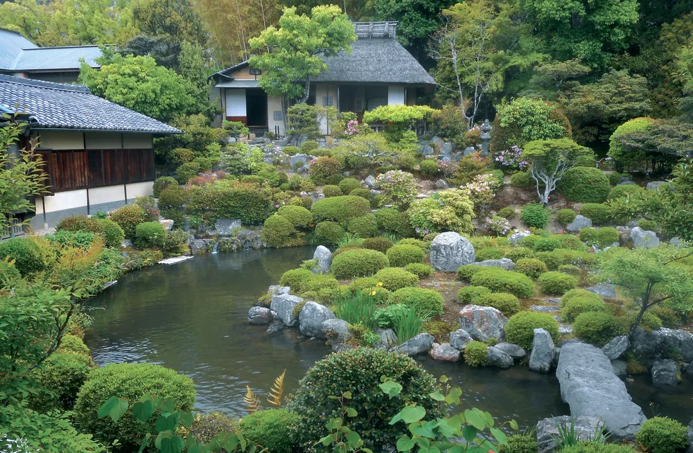 ZEN spread 6